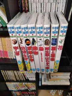 格安！　小学館の図鑑NEO DVD付き　8冊セット　24時間以内に発送