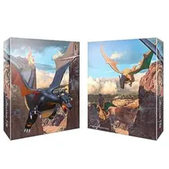 【新品未開封】ポケセン限定 ポケカ コレクションファイル 色違いのリザードン