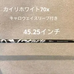 2026年最新】カイリホワイトの人気アイテム - メルカリ