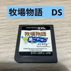 牧場物語 ようこそ!風のバザールへ　ソフトのみ
