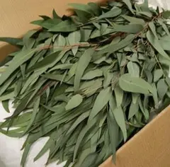 Nana-pooh【プロフ必読】様 リクエスト 2点 まとめ商品