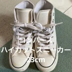 Item thumbnail for item 8005bbb5-2be2-472d-96f3-c2b07814e96f