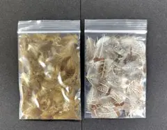 Item thumbnail for item ec374fa0-04b9-4c38-a8f2-10b10906d206