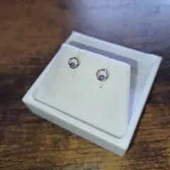 k10WGアメシストピアス