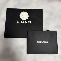 CHANEL ショッパー　2枚セット　③