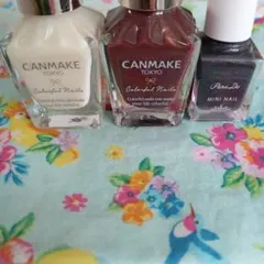 まとめ売り ②　マニキュア CANMAKE Para Do