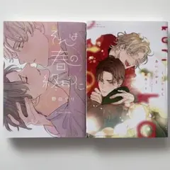 2026年最新】blまとめ売りの人気アイテム - メルカリ