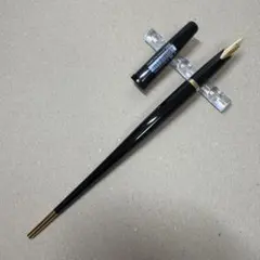 廃盤 新品 パイロット デスクペン DPN-200 極細 EF 黒 ペン習字 - メルカリ