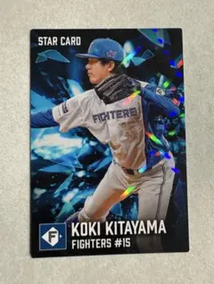 北山亘基 スターカード 北海道日本ハムファイターズ プロ野球チップス