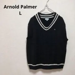 【Arnold Palmer】美品ブラック ケーブルニット Vネックベスト【L】