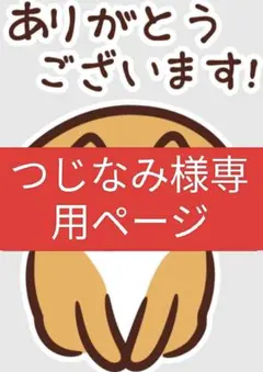 つじなみ様専用ページ　猫ボール　2点