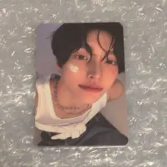 すもも　当日、翌日配送様 リクエスト 2点 まとめ商品