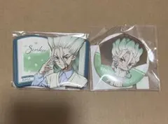 Dr.STONE 石神 千空 缶バッジ レイニーデイ 読書の秋 Book型 - メルカリ