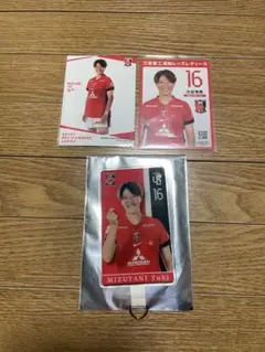 Item thumbnail for item 23b7e59f-7dc9-47c8-9bb9-dff629a566a2