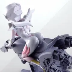 ［未開封］S.H.Figuarts ラクス・クライン ライドオン再現セット