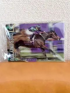 サラブレッドホースコレクション　第2R ラヴズオンリーユー　競馬　未開封