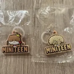 seventeen MINITEEN キーホルダー 2種セット