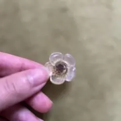 花形 クリップ式イヤリング 透明黄色