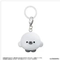じょせまる めじるしアクセサリー　まるころ