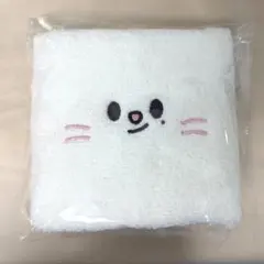 スキズ ペンミ 入場特典 ジニレット