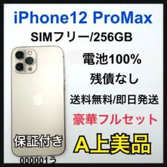 【A】 iPhone 12 Pro Max 256 GB SIMフリー　本体