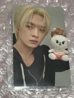 straykids ズートピア トレカ リノ