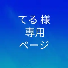 てる様 専用ページ
