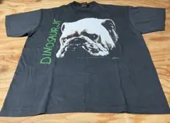 ハナKING様Dinosaur Jr. ダイナソーJr. Tシャツ / L - メルカリ