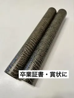 Item thumbnail for item ca7a59c8-a68e-46c3-84e4-fcd7bedb8e23