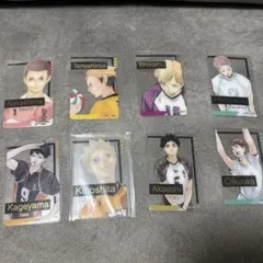 ハイキュー!! ファンパーク　箔押しクリアカードコレクション