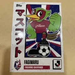ファジアーノ スポーツカード