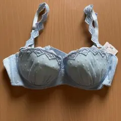 Item thumbnail for item dbc38fc1-0178-4cdf-b5be-3767d3dbb008