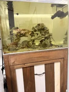 中古大型アクリルオーバーフロー水槽セット - メルカリ