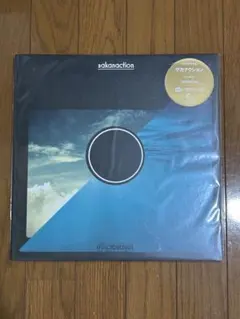 sakanaction 重量盤アナログ 2LP サカナクション LPレコード - メルカリ