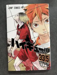 ハイキュー!! 33.5