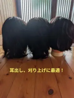 国家試験練習用カットウィッグ3体 - メルカリ