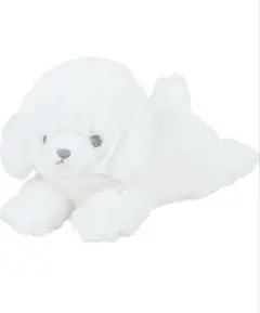 りぶはあと マスコット くたっとびより ビションフリーゼ (全長約20cm) 犬のサムネイル