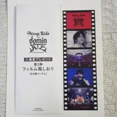 StrayKids スキズ 映画 入場特典 フィルム風しおり1枚 アイエン IN