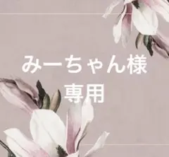 【みーちゃん様 専用】