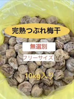 無添加かわあつ梅Lサイズ10kg白干し - メルカリ