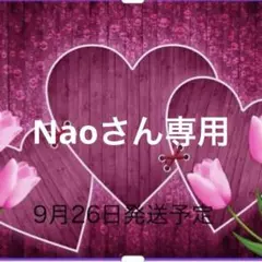 Naoさん専用