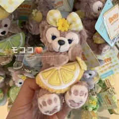 2026年最新】香港ディズニー シェリーメイ キーホルダーの人気アイテム