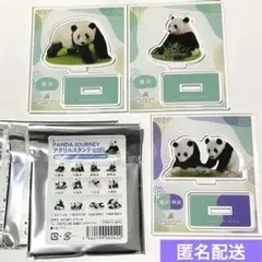 2025年最新】アドベンチャーワールド 缶バッジの人気アイテム - メルカリ