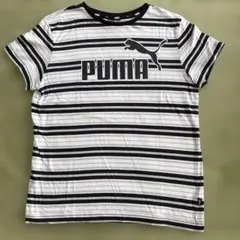 PUMA ストライプ Tシャツ 160