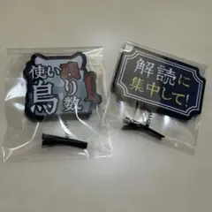 第五人格 IdentityV オフライン入場特典 ヘアピン 占い師