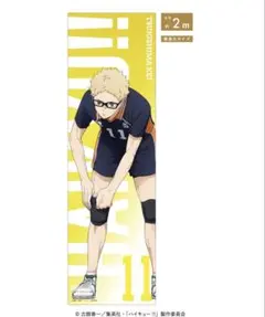 2026年最新】ハイキュー!! ほぼ等身大タペストリー 月島蛍の人気