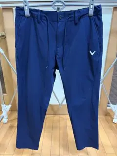 Item thumbnail for item 69898b0a-cac3-4a70-b7fc-3c702708b156