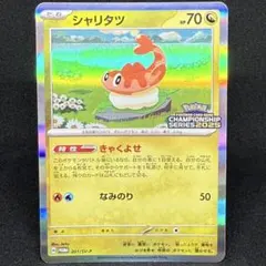 2026年最新】201/SV-P シャリタツの人気アイテム - メルカリ