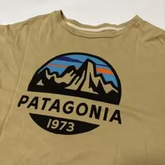 PATAGONIA Tシャツ Sサイズ　ベージュ