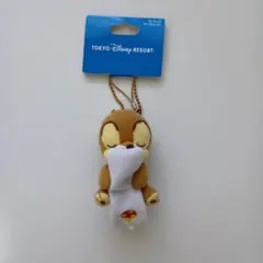 東京ディズニーリゾート　チップとデール　キーホルダー